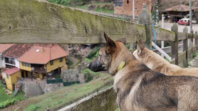 Прикрепленное изображение: P1162951.JPG